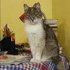Отзыв от Татьяна Львова